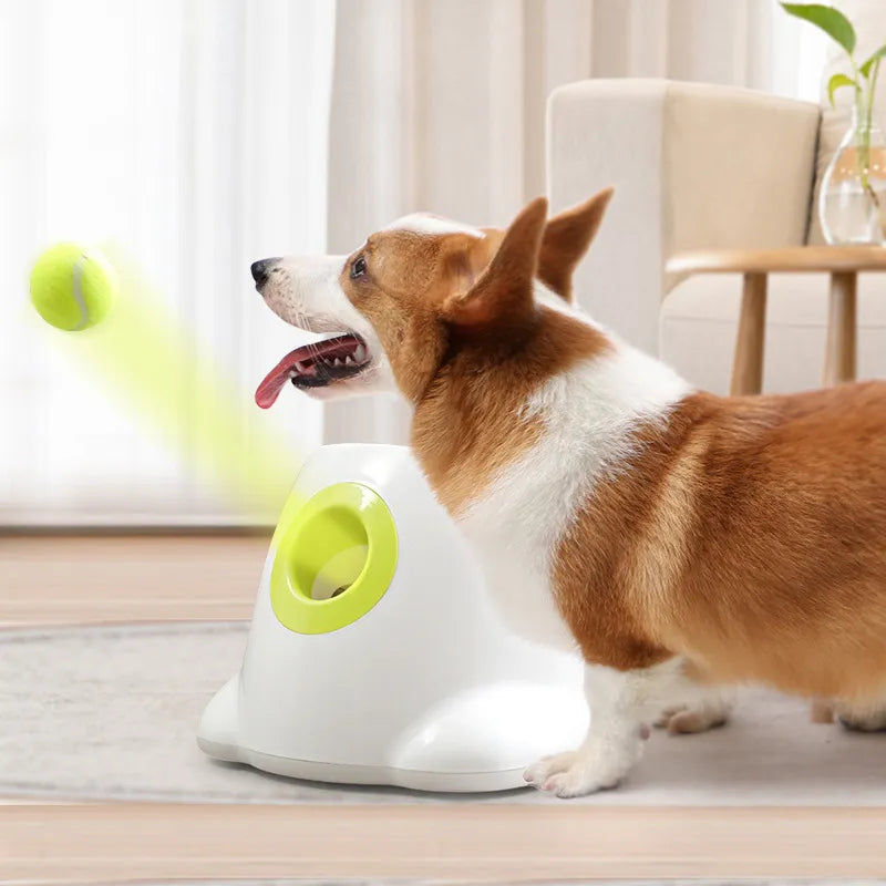 Dog Toys Tennis Launcher